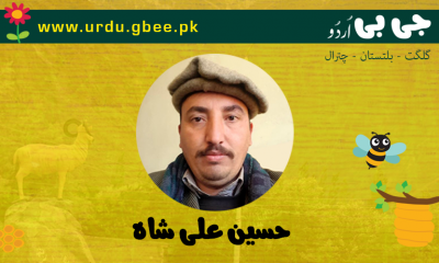 Hussain Ali Shah - Blogger from Gilgit-Baltistana and Chitral
